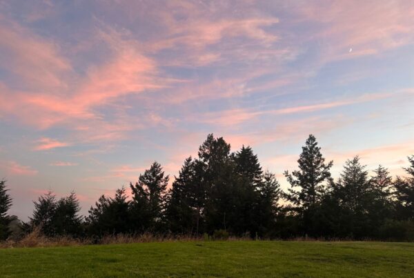 Sunset in Santa Cruz
