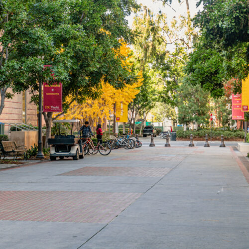 When Will USC Viterbi Admission Decisions be released for Fall 2024