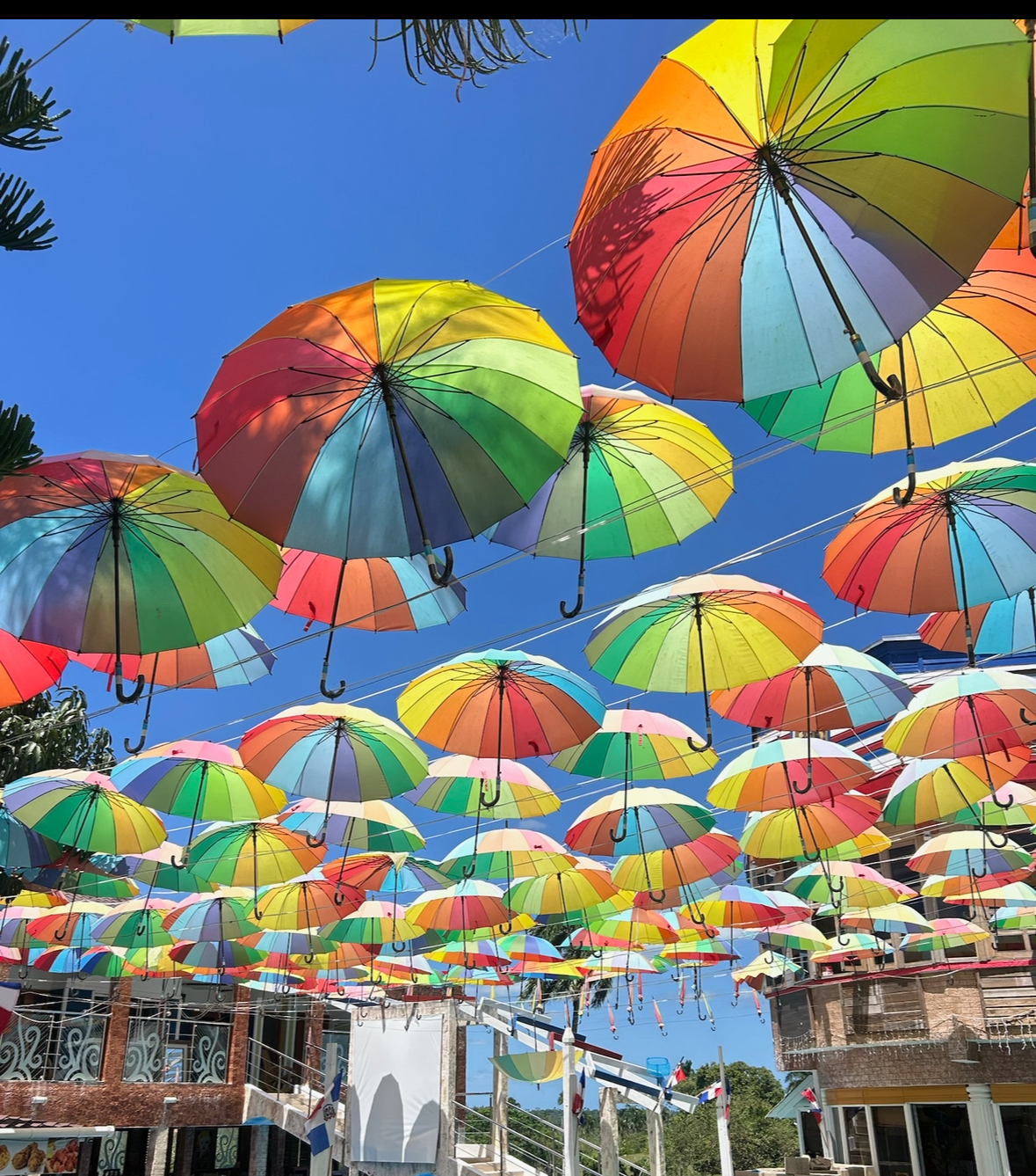 Spring Break in the Dominican Republic: Sun, Adventures, and Lifelong Memories