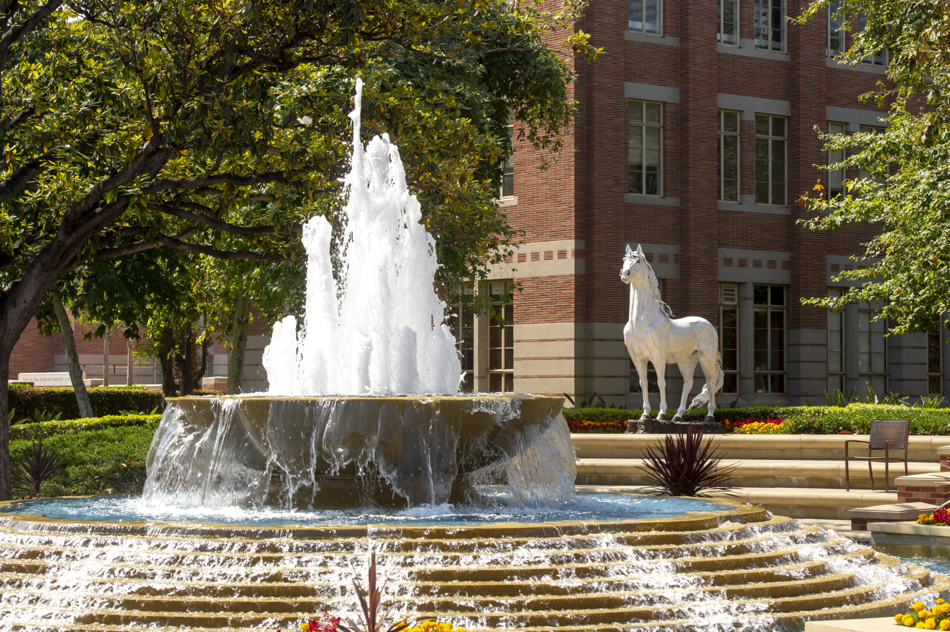 Apply before the regular decision deadline usc viterbi