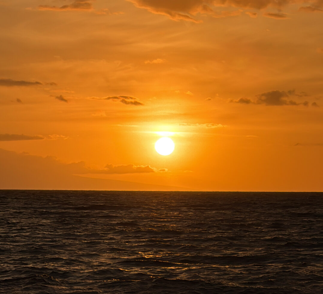 Staying Busy on Maui While Taking an Unconventional Path!